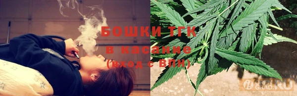 сатива Шали